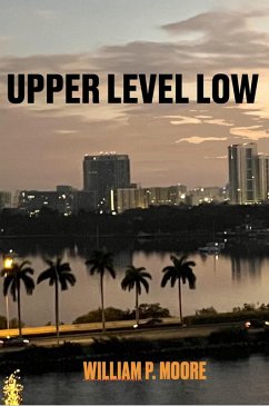 Cover Upper Level Low (eBook, ePUB)