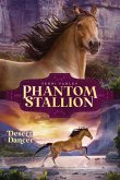 Desert Dancer (eBook, ePUB)