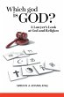 Which god is God? (eBook, ePUB) - Bild 1