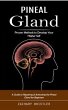 Pineal Gland (eBook, ePUB) - Bild 1