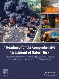 Cover A Roadmap for the Comprehensive Assessment of Natech Risk (eBook, ePUB)