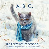 A, B, C, die Katze lief im Schnee (eBook, ePUB)