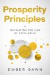 Prosperity Principles (eBook, ePUB) - Bild 1