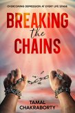 Breaking the Chains (eBook, ePUB)