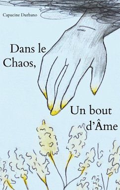 Dans le Chaos, un bout d'Âme (eBook, ePUB) - Durbano, Capucine