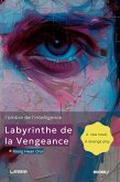 Labyrinthe de la vengeance : l'ombre de l'intelligence (eBook, ePUB)