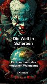 Die Welt in Scherben (eBook, ePUB)