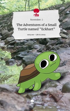 The Adventures of a Small Turtle named 