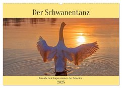 Der Schwanentanz (Wandkalender 2025 DIN A2 quer), CALVENDO Monatskalender - Calvendo;Kramer, Christa