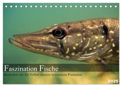 Faszination Fische (Tischkalender 2025 DIN A5 quer), CALVENDO Monatskalender