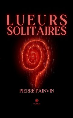 Lueurs solitaires (eBook, ePUB) - Painvin, Pierre