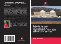 Cover Criação de uma infraestrutura regulamentar num país candidato à adesão
