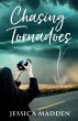 Chasing Tornadoes - Bild 1