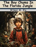 The Boy Chums In The Florida Jungle