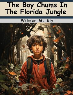 The Boy Chums In The Florida Jungle - Wilmer M Ely