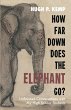 How Far Down Does the Elephant Go? - Bild 1