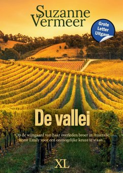De vallei - Vermeer, Suzanne