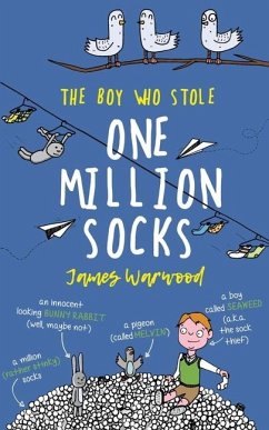 The Boy Who Stole One Million Socks - Warwood, James