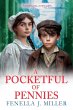 A Pocketful of Pennies - Bild 1