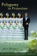 Polygamy in Primetime (eBook, ePUB) - Bild 1
