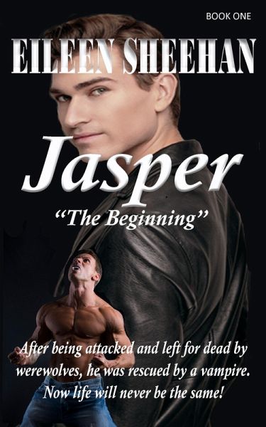 The Beginning (Jasper) (eBook, ePUB)