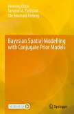 Bayesian Spatial Modelling with Conjugate Prior Models