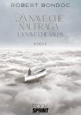 La nave che naufraga (eBook, ePUB)