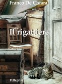 Il rigattiere (eBook, ePUB)