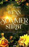 Wenn der Sommer stirbt (eBook, ePUB)