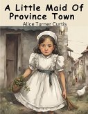 A Little Maid Of Province Town