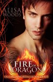 Fire of a Dragon (Fallen Immortals 3)