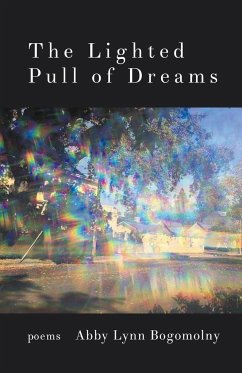 The Lighted Pull of Dreams - Bogomolny, Abby Lynn