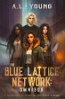 The Blue Lattice Network - Bild 1