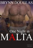 One Night In Malta (Expat Encounters, #13) (eBook, ePUB)