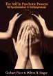 Self In Psychotic Process (eBook, ePUB) - Bild 1