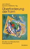 Überforderung der Form (eBook, PDF)