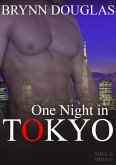 One Night In Tokyo (Expat Encounters, #11) (eBook, ePUB)