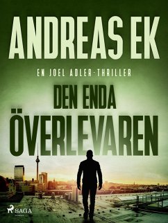 Cover Den enda överlevaren (eBook, ePUB)