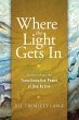 Where the Light Gets In: Stories about... - Bild 1
