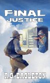 Final Justice (eBook, ePUB)