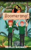 Boomerang! (eBook, ePUB)