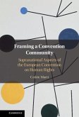 Framing a Convention Community (eBook, PDF)