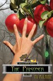 The Prisoner: Denicalis Dragon Chronicles - Book Two (eBook, ePUB)