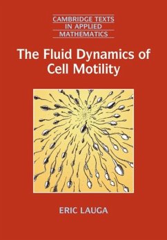 Cover Fluid Dynamics of Cell Motility (eBook, PDF)