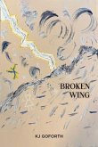 Broken Wing (eBook, ePUB)