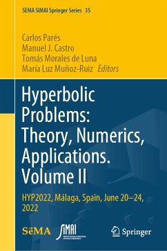 Hyperbolic Problems: Theory, Numerics, Applications. Volume II (eBook, PDF)