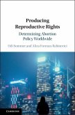 Producing Reproductive Rights (eBook, PDF)