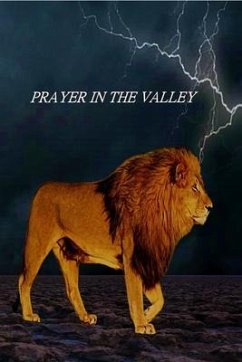 Prayer In The Valley (eBook, ePUB) - Goins, Robert