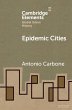 Epidemic Cities (eBook, PDF) - Bild 1