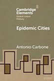 Epidemic Cities (eBook, PDF)